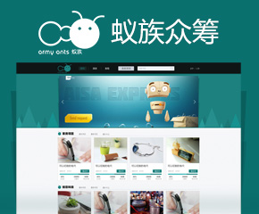 蟻?zhàn)灞娀I網(wǎng)站開發(fā)案例